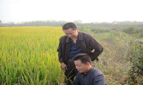 農(nóng)業(yè)工程師職業(yè)大全 多領域發(fā)展與職業(yè)前景