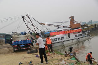 固鎮(zhèn)縣畜牧獸醫(yī)水產(chǎn)局積極開展?jié)O業(yè)資源增殖人工放流活動 助力畜牧漁業(yè)飼料銷售新篇章