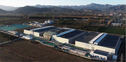 豐收時節(jié)譜新篇 2024中國農(nóng)民豐收節(jié)聚焦畜牧水產(chǎn)品質(zhì)提升與飼料銷售新動能