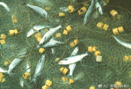 AquaTech 2026 馬來西亞漁業(yè)展覽會(huì) 領(lǐng)航漁業(yè)新紀(jì)元，驅(qū)動(dòng)畜牧漁業(yè)飼料銷售創(chuàng)新