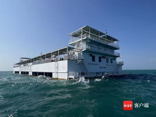 智慧漁業(yè)賦能“海上糧倉”建設(shè)——媒體海南行聚焦樂東龍棲灣海洋牧場
